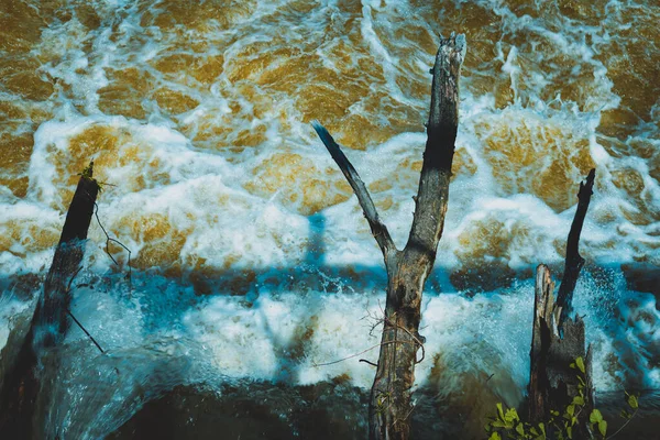 川の泡立つ水の上の木の丸太は — ストック写真