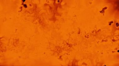 Soyut hareket arkaplanı renkli parçacıklar parlıyor. Kusursuz 4K döngü videosu.