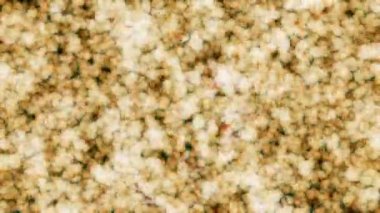 Soyut hareket arkaplanı renkli parçacıklar parlıyor. Kusursuz 4K döngü videosu.