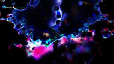 Soyut hareket arkaplanı renkli parçacıklar parlıyor. Kusursuz 4K döngü videosu.