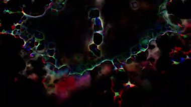 Soyut hareket arkaplanı renkli parçacıklar parlıyor. Kusursuz 4K döngü videosu.