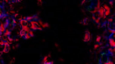 Soyut hareket arkaplanı renkli parçacıklar parlıyor. Kusursuz 4K döngü videosu.