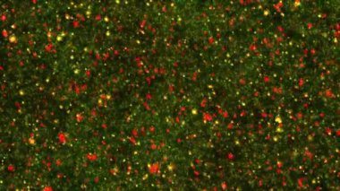 Soyut hareket arkaplanı renkli parçacıklar parlıyor. Kusursuz 4K döngü videosu.