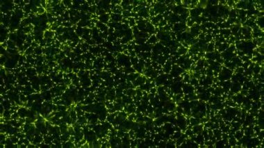 Soyut hareket arkaplanı renkli parçacıklar parlıyor. Kusursuz 4K döngü videosu.