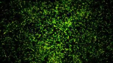 Soyut hareket arkaplanı renkli parçacıklar parlıyor. Kusursuz 4K döngü videosu.