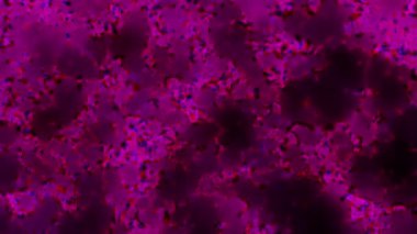 Soyut hareket arkaplanı renkli parçacıklar parlıyor. Kusursuz 4K döngü videosu.