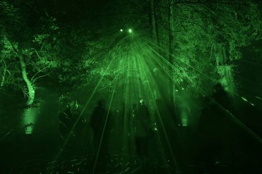 Fransa 'da gece büyülü bir şekilde aydınlatılmış orman