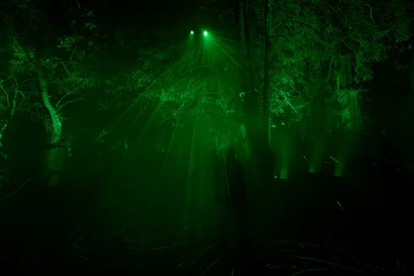 stock image magically illuminated forest at night in France