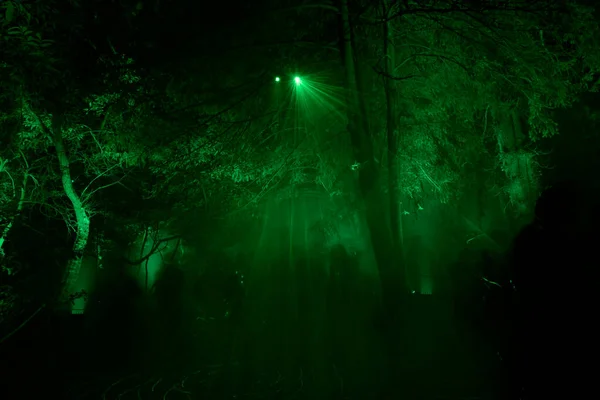 stock image magically illuminated forest at night in France