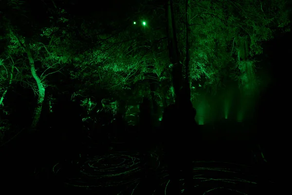 在法国夜晚被魔法照亮的森林 — 图库照片