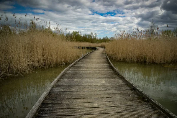 stock image view of a wooden pontoon in the middle of the ponds in France