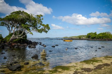 Hint Okyanusu 'ndaki Mauritius mangrovlarının manzarası