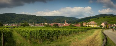 Fransa 'nın Alsace kentindeki Riquewihr şehrinin manzarası