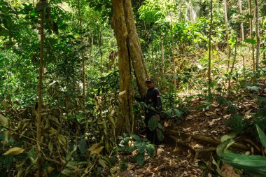 Bir adam yemyeşil bir tropikal ormanda büyük bir ağacın yanında duruyor. Canlı yeşil bitki örtüsüyle çevrelenmiş sahne, sakin bir orman ortamında insanlarla doğa arasındaki uyumu yakalıyor..