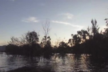 Siluetli ağaçlar Bonnie Doon, Victoria, Avustralya 'nın sakin sularına yansıyor. Zaman akışı sağdan sola kayar, bulutlar oluşurken takip eder ve gökyüzü renklerini mora çevirir..