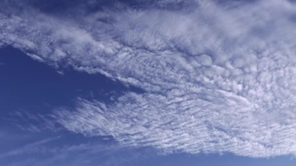 Cinematic Timelapse Footage White Grey Patterned Cirrus Stratus Clouds Puffing — Stock Video