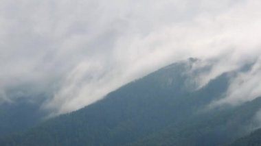 Yağmurlu bir günde bulutların bir dağın tepesinde usulca hareket ettiği sisli, sisli bir manzara. Skene Dağı, Avustralya. 4k video kaydı.