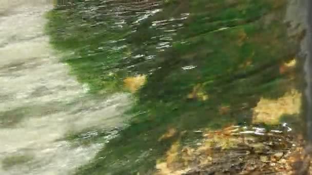 Megigéző 120 Fps Mozgókép Rögzíti Víz Felszínének Hullámainak Hullámainak Bonyolult — Stock videók