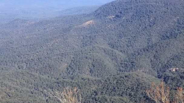 澳大利亚新南威尔士州青山的令人惊奇的山地高原 在蓝天中 绿树成荫 乌云密布 — 图库视频影像
