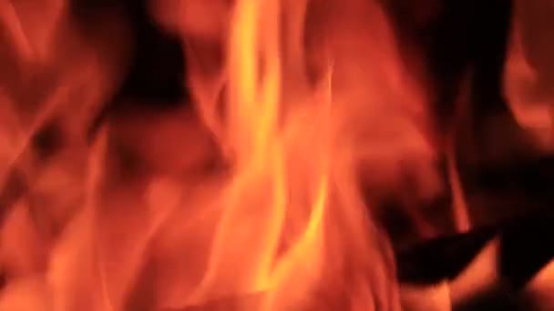 Orange Yellow Flame Interesting Shape Campfire Dance Embers Burn Coal — Vídeo de Stock