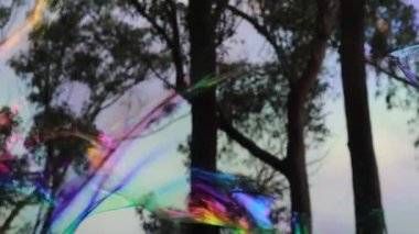 Parlak yeşil, pembe, mor, mavi ve turuncu pastel renkler yüzeyde yoğun siyah ve beyaz noktalar etrafında dönüyor, dev bir sabun köpüğü havada süzülürken. 