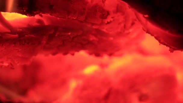 Orange Yellow Flame Interesting Shape Campfire Dance Embers Burn Coal — Stockvideo