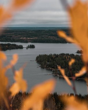 Sonbahar klonlanmış yapraklarla çerçevelenmiş güzel göl manzarası. Tipik Finnish göl manzarası. Dikey fotoğraf.