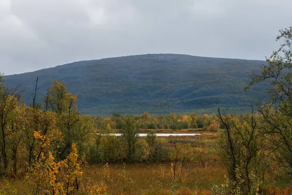 stock image Autumn swamp landscape with mountain in background. Small swamp pond in the middle. Colorful nature.