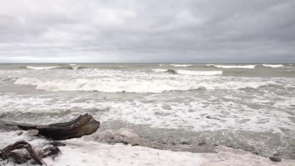 Coast Northern Stormy Sea — Stockvideo