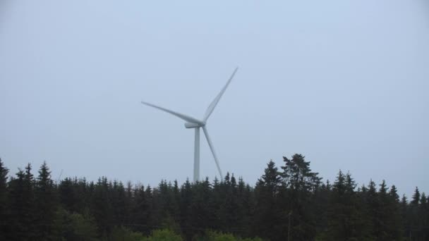 Windmolen Voor Elektriciteitsopwekking Bij Bewolkt Weer Het Bos — Stockvideo