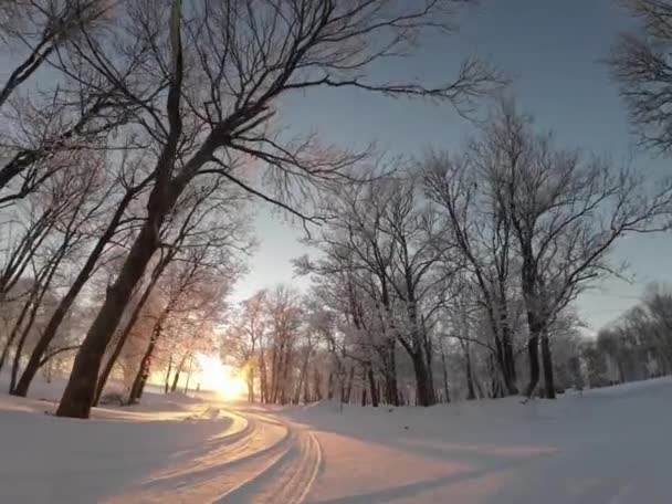 Podél Zasněžené Malebné Zimní Cesty Obklopené Mrazem Pokrytými Stromy Večerním — Stock video