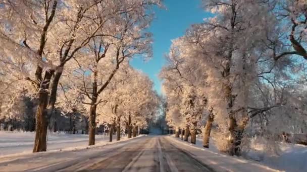Langs Schilderachtige Winterweg Omgeven Door Met Vorst Bedekte Bomen Avond — Stockvideo