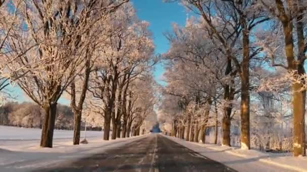 Langs Schilderachtige Winterweg Omgeven Door Met Vorst Bedekte Bomen Avond — Stockvideo