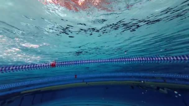 游泳的女孩在游泳池里自由泳 — 图库视频影像