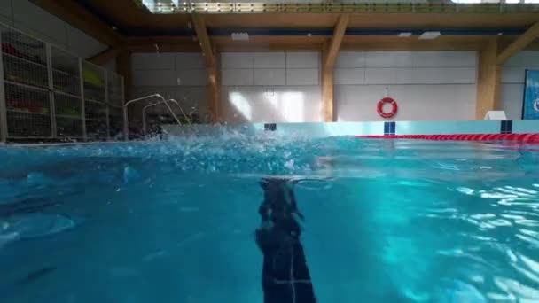 游泳的女孩在游泳池里游泳蝶泳风格 慢动作 — 图库视频影像