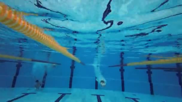 游泳的女孩一开始在游泳池里潜入水里 — 图库视频影像