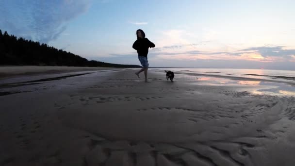 Barefoot Little Girl Small Dog Walks Sandy Seashore Sunset Slow — Stock Video