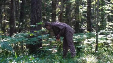 Kız yaz ormanında mantar topluyor..