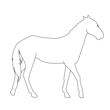 Beyaz arka planda izole edilmiş siyah bir atın vektör çizimi. Binicilik sporları, hayvancılık ve veterinerlik teması
