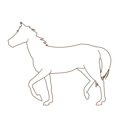 Beyaz arka planda izole edilmiş siyah bir atın vektör çizimi. Binicilik sporları, hayvancılık ve veterinerlik teması