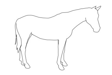 Beyaz arka planda izole edilmiş siyah bir atın vektör çizimi. Binicilik sporları, hayvancılık ve veterinerlik teması