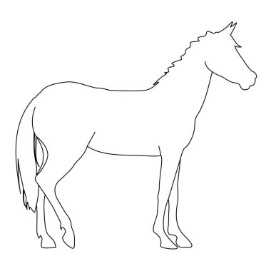 Beyaz arka planda izole edilmiş siyah bir atın vektör çizimi. Binicilik sporları, hayvancılık ve veterinerlik teması
