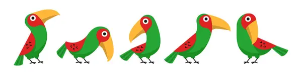 Sets Von Bunten Tropischen Vögeln — Stockvektor