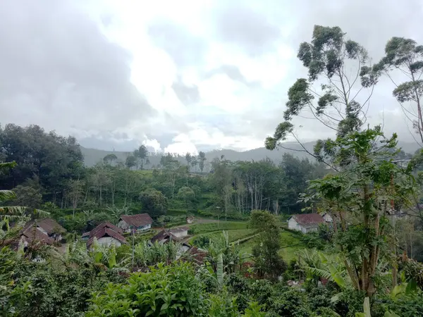 Dorf Inmitten Der Natur Pangalengan Bandung Indonesien Szenische Aussicht Aus — Stockfoto