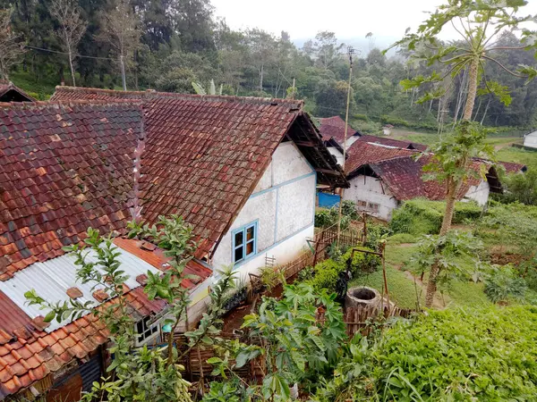 Indonesisches Dorf Inmitten Der Natur Pangalengan Bandung Bescheidenes Tropisches Haus — Stockfoto
