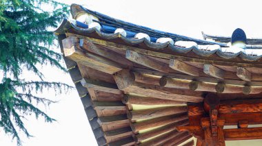 Geleneksel Kore çatı dekorasyonu detaylarını yakından çek. Gün içinde düşük açılı görüntüden çekilmiş..