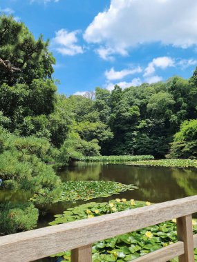 Kiyomasa 'nın güzel manzarası Meiji Jingu' da güneşli gökyüzünün altında bulundu.
