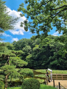 Kiyomasa 'nın güzel manzarası Meiji Jingu' da güneşli gökyüzünün altında bulundu.