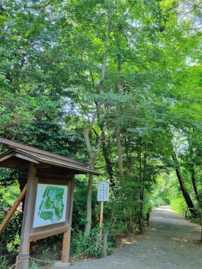 Meiji Jingu 'nun ağaçlarla çevrili iç bahçe alanının haritasını gösteren bir işaret direği..