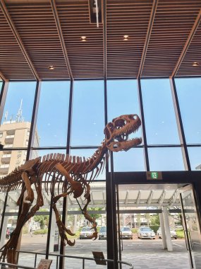 Fukui istasyon binasında dinozor iskeleti kurulumu.